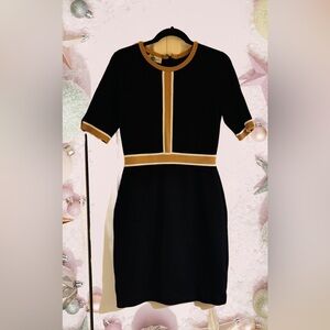 Chic Black and Tan Dress